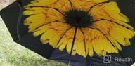 картинка 1 прикреплена к отзыву Stay Protected In Style: MRTLLOA Windproof Travel Umbrella - Perfect Gift For All Occasions от Dan Olsen