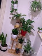 img 1 attached to 5 Tier 6 Potted Plant Stand Rack: Bamboo Flower Pot Holder Shelf For Indoor/Outdoor Planter Display Shelving Unit In Patio Garden, Corner Balcony & Living Room review by Steven Wood