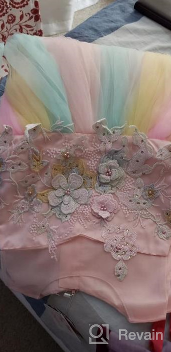 img 1 attached to 🌈 Meiqiduo 2-14T Rainbow Flower Girls Dress with Tulle, 3D Embroidery, Ideal for Princess Party, Birthday, and Formal Occasions review by Eric Timbeross