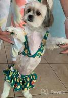 img 1 attached to Cute And Stylish 2-Pack Bikini Swimsuit For Small Female Dogs - Perfect For Summer Fun! review by Julius Lito