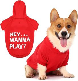 img 4 attached to 🐶 Hozz Dog Clothes: Stay Stylish with our Buffalo Plaid Trendy Dog Hoodie!