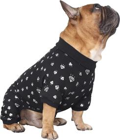 img 4 attached to iChoue Rich Dog Series: Stylish Pet Clothes – T-Shirts and Pajamas for Dogs