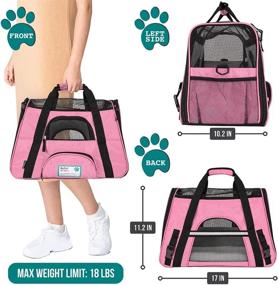 img 3 attached to 🐾 PetAmi Premium Airline Approved Soft-Sided Pet Travel Carrier: Ventilated Comfort Design with Safety Features for Small to Medium Sized Cats, Dogs, and Pets