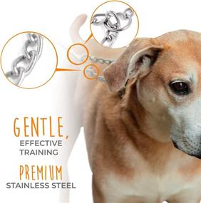 img 1 attached to Mighty Paw Stainless Steel Martingale Training Collar: Expert-Recommended Modified 🔗 Slip Chain Collar to Prevent Pulling, Ideal for Large & Small Dogs