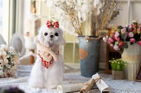 img 1 attached to 🐶 KILLUA Dog Coat Cotton Jacket Scarf Bow Three Pieces Set - Ideal for Winter, Dual Fleece Lining, Windproof Pet Sweater Cat, Soft Shape Cute…