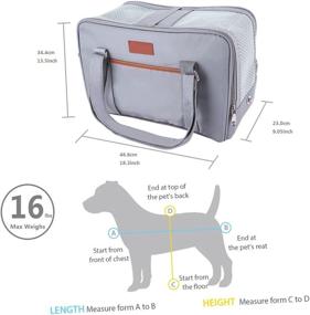 img 1 attached to 🐾 Premium Airline Approved Soft Sided Cat Carrier & Dog Travel Bag for Small Dogs, Medium Cats - Ideal for Travel, Hiking, Walking, and Outdoor Adventures