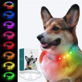 img 4 attached to 🐶 MocHi Ruffer LED Dog Collar: 8 Color Modes, USB Rechargeable, Cuttable Rainbow Collar - Ideal for Night Walking, Outdoor Camping, and Safety Visibility of Small to XL Dogs