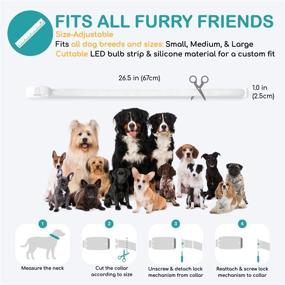 img 1 attached to 🐶 MocHi Ruffer LED Dog Collar: 8 Color Modes, USB Rechargeable, Cuttable Rainbow Collar - Ideal for Night Walking, Outdoor Camping, and Safety Visibility of Small to XL Dogs