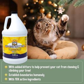 img 2 attached to 🛋️ Keep Your Furniture Scratch-Free with 3-in-1 Cat & Kitten Training Aid Spray - Made in The USA