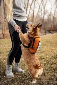 img 2 attached to 🐶 K9 Sport Sack Walk-On: Ultimate Medium-Sized Dog Carrier Backpack in Sunset Orange - with Harness & Storage