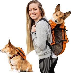 img 4 attached to 🐶 K9 Sport Sack Walk-On: Ultimate Medium-Sized Dog Carrier Backpack in Sunset Orange - with Harness & Storage