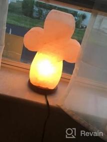 img 7 attached to Принесите спокойствие домой: лампа из натурального розового кварца ручной работы с диммером и лампочками