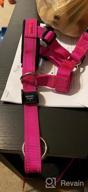 img 1 attached to Pink GoodBoy Head Halter For Dogs - Advanced Safety Strap To Stop Pulling - Padded Headcollar For Small, Medium, And Large Breeds - Includes Training Guide (Size 2) review by Justin Cranford