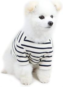 img 4 attached to 🐶 Lucky Petter Dog Shirt: Striped, Soft Breathable T-Shirts for Small to Large Dogs - Stretchable, Rugby-Inspired Dog Clothes