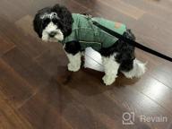 img 1 attached to Waterproof Windproof Reversible Winter Dog Jacket - ThinkPet Cold Weather Coats For Small, Medium & Large Dogs, Thick Padded Warm Coat With Reflective Vest Clothes review by Elena Bryant