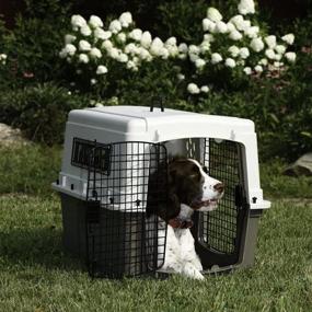 img 2 attached to 🐶 Portable Plastic Pet Travel Crate Carrier Kennel with Double Doors for Dogs, Rabbits, and Animals - Beige & Taupe by Miller Manufacturing Company