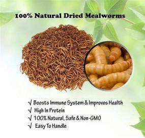 img 3 attached to Dried Mealworms 11 lbs - All-Natural Chicken Feed, Bird & Fish Food, Turtle & Duck Feed, Reptile Nutrition - Non-GMO, Preservative-Free, High Protein Source