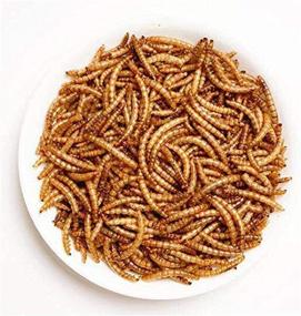 img 2 attached to Dried Mealworms 11 lbs - All-Natural Chicken Feed, Bird & Fish Food, Turtle & Duck Feed, Reptile Nutrition - Non-GMO, Preservative-Free, High Protein Source