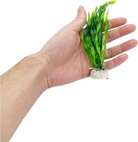img 2 attached to 🐠 Enhance Your Fish Tank with Colorful Artificial Seaweed & Goldfish Hides - Set of 10 Aquarium Plants for a Stunning Waterscape (Size-S)