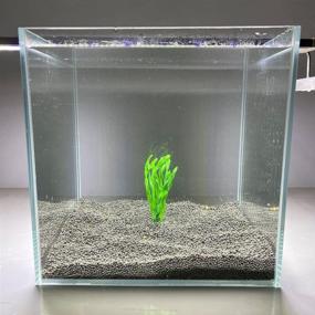 img 1 attached to 🐠 Enhance Your Fish Tank with Colorful Artificial Seaweed & Goldfish Hides - Set of 10 Aquarium Plants for a Stunning Waterscape (Size-S)