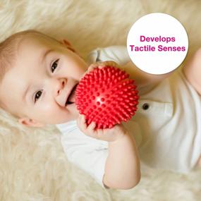 img 1 attached to Enhance Your Baby'S Gross Motor Skills With 4 Vibrant, Textured 4" Edushape Sensory Balls For Babies Aged 6 Months And Up - Trendy Colors Pack Perfect For Optimal Developmental Playtime
