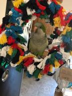 img 1 attached to Colorful And Fun Borangs Bird Toys For African Grey Cockatoos, Conure Parakeet Quaker, And More: Parrot Shredding Toys, Hanging Swings, Snuggle Rings And Cotton Grooming Ropes - 12 Inch Size review by Jason Williamson