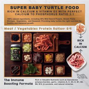 img 1 attached to 🐢 Premium Floating Baby Turtle Food with All-Natural Ingredients - Wild Sword Prawn with Calcium and Vitamin D for Picky Aquatic Baby & Juvenile Turtles - Baby Turtle Nutri Stick 1.6 oz