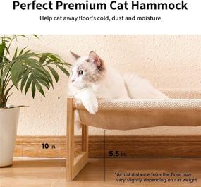 img 2 attached to 🐱 FUKUMARU Cat Bed: Elevated Swing Chair for Indoor Cats - Perfect Pet Hammock for Cats and Small Dogs Up to 40 lb