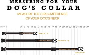 img 1 attached to Wolfgang Man & Beast Premium Adjustable Dog Training Collar - Training Perfection Made in USA