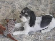 img 1 attached to Entertain Your Furry Friend With Hollypet'S Squeaky Armadillo Plush Dog Chew Toy review by Fock Dean
