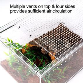 img 2 attached to 🦎 Premium Reptile Acrylic Enclosure Tank - Full View Thickened Box for Tarantula, Praying Mantis, Spider Terrarium: Best Quality!