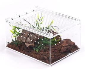 img 4 attached to 🦎 Premium Reptile Acrylic Enclosure Tank - Full View Thickened Box for Tarantula, Praying Mantis, Spider Terrarium: Best Quality!