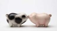 kissing passion piggies collectible pepper logo