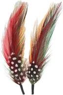 exotic feather assortment pack for hats, bridal, and crafts - top quality plumes in green, red, and yellow - 1 pack logo