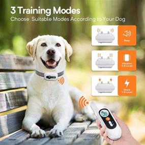 img 2 attached to 🐶 DINJOO IPX7 Waterproof Dog Shock Collar: 1640FT Remote Range, Rechargeable & 3 Modes for Effective Training - Beep Vibration Shock