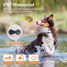 img 1 attached to 🐶 DINJOO IPX7 Waterproof Dog Shock Collar: 1640FT Remote Range, Rechargeable & 3 Modes for Effective Training - Beep Vibration Shock