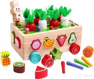 🧩 montessori sensory shape sorter toys for 2-4 year old boys and girls - educational wooden toys for kids age 3-5 - gift ideas for toddlers - 24 months+ - ideal birthday presents logo
