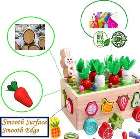 img 3 attached to 🧩 Montessori Sensory Shape Sorter Toys for 2-4 Year Old Boys and Girls - Educational Wooden Toys for Kids Age 3-5 - Gift Ideas for Toddlers - 24 Months+ - Ideal Birthday Presents
