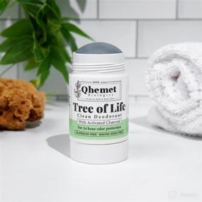 img 2 attached to Qhemet Biologics Tree Fresh Deodorant