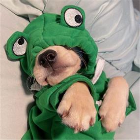 img 1 attached to 🐶 Fashionable & Hilarious Pet Apparel: Funny Dog Hoodie with Cute Apple Banana Frog Shape - Ideal Outfit for Small to Medium Dogs & Cats, Keeping them Warm in Cold Weather - Stylish Green Jacket