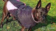 img 1 attached to BRKURLEG Dog Jacket Winter Coat,Turtleneck Reflective Dog Cold Weather Coat With Fleece Lining,Waterproof Warm Padded Doggy Waistcoat,Adjustable Neck Chest Girth Dog Windbreaker Vest For All Breeds review by Katie Miller