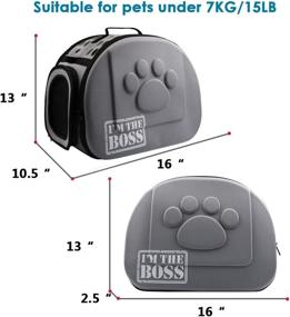 img 3 attached to 🐾 AriTan Pet Travel Carrier: Soft-Sided Portable Collapsible EVA Cat Bag with Mesh Windows - Ideal for Small/Medium Dogs & Cats (Large, Grey)