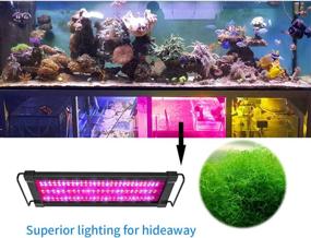 img 3 attached to 🌱 25W LED Refugium Grow Light for Saltwater Marine Aquarium Tank - Supports Chaeto, Coral Reef & Macroalgae Plant Growth