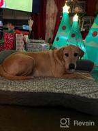 img 1 attached to Furhaven Large Memory Foam Dog Bed Plush & Almond Print L Shaped Chaise W/ Removable Washable Cover - Gray Almonds, Large review by Thomas Unruh