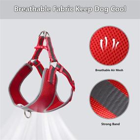 img 1 attached to 🐾 TwoEar Reflective Adjustable Nylon Dog Harness for X-Small, Small, and Medium Breeds - Outdoor Walking and Puppy Vest Harness for Enhanced Safety