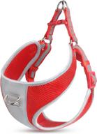 🐾 twoear reflective adjustable nylon dog harness for x-small, small, and medium breeds - outdoor walking and puppy vest harness for enhanced safety логотип