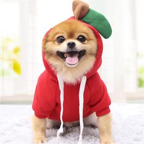 img 2 attached to Frogtastic Coziness: Dog Hoodie Plush Fleece Sweater - Warm Cold Weather Coat for Puppy Small Medium Large Dog