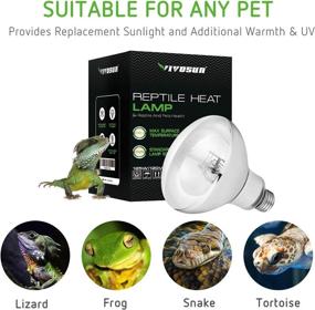 img 2 attached to 🦎 VIVOSUN Reptile Heat Lamp Bulb - 125W High Intensity Self-Ballasted UVA UVB Mercury Vapor Light Bulb for Reptiles, Amphibians, and Birds, Ideal for Optimal Heating