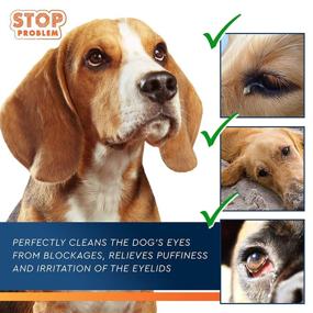 img 1 attached to 👁️ All Pets Eye Drops: Relief for Pink Eye, Allergy Symptoms, Infections & Dry Eyes - Pain-Free Treatment to Prevent Irritations, Conjunctivitis, and Abrasions - Remove Dirt Crust and Discharge