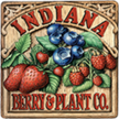 indiana berry & plant logo